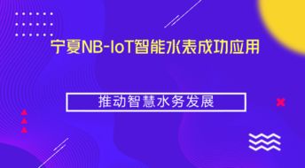 寧夏NB-IoT智能水表成功應(yīng)用，推動(dòng)智慧水務(wù)與智能水務(wù)系統(tǒng)開發(fā)